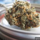 법무사김성중 | 울산개인회생 빚 해결, 이곳에서 시작했어요, 법무사김성중