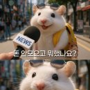 이** - 청도군 청도신기길 | 이**