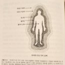 고스와미 박사의 양자기억의 관점으로 살펴본 사후의 생존과 불멸, 윤회 이미지