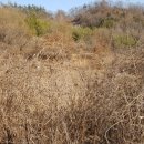 화순도암우체국 이미지