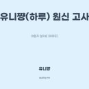 유니바이