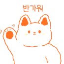 붐붐돈까스 - 진주시 | 붐붐돈까스
