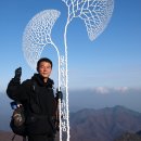 깊은골천 이미지