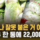 용산돼지야~~배추 한통에 22,000원 한단다...당장 무관세 수입하라~~ 이미지