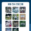 제17회 청도유등제 이미지