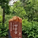 행복한꽈배기광릉수목원점 | 포천 광릉수목원 입장료 운영시간 단풍절정시기 나들이 후기