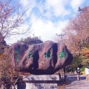 제주 천지연 담팔수 자생지 | 제주 3대 폭포 중 가장 편안한 곳| 천지연폭포는 왜 다시 가게 될까?