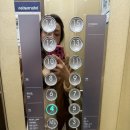 6F 노래연습장 이미지