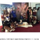 주토피아 - 홍성군 애향9길 3 | 주토피아