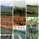 큐리농장 이미지