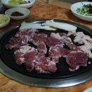 푸른솔가든