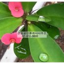 큰길공인중개사사무소 이미지