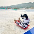 고들식당 | 경주 양남 눈썰매장 할인 예매 및 주차장 놀거리 전동차 고카트 식당 내돈내산 후기