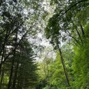 오대산 힐링타운 달빛동 이미지