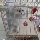 폴리파크 송현점 네이버블로그