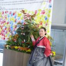 운서초등학교 이미지