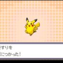 레드숲