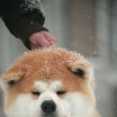 고양고등학교 이미지