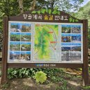 북평면 탑골길 강원 네이버블로그