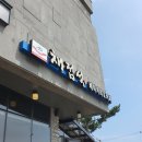 서호남로32번길 29↔서호동 1601 | 제주도 애월 3박 4일 여행 일지 예산과 여행 코스 셋째 날 호텔더본 서귀포잠수함 퍼시픽랜드 채점석...