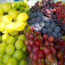 송산농장 이미지