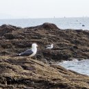 샹그릴라펜션 이미지