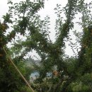 희망찬농장 이미지