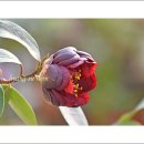 날마다잔치 이미지