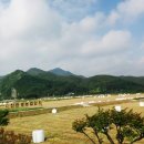 황금들 농장 이미지