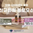 다이아몬드헤어클럽