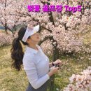 히든밸리춘천 | 수도권 벚꽃 골프장 봄 라운딩 추천 TOP5 (지역별 개화시기는 언제?)