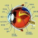 백제안경원 네이버블로그
