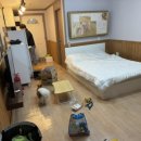 춘천남이섬애견가족전원마을펜션 이미지