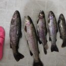 문화레저낚시터 이미지