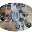 멀구슬민박 이미지