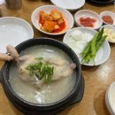 861 | 2025년 7월 기준 인천 삼계탕 맛집 가볼만한곳 TOP10에 대하여 알아봅시다.