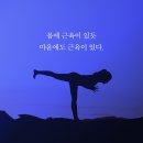 모임중국어