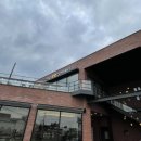 더멍멍컴퍼니 이미지