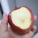 늘햇살농원 이미지