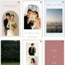 게스트 | 모바일 청첩장 투 아워 게스트 후기