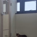 미미캣살롱&고양이호텔 이미지