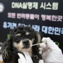 유기코리아 이미지