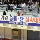 용인대석사월드태권도 네이버블로그