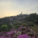 청련사 | 강화도 고려산 진달래 등산코스 추천｜청련사 주차장 출발 일출 산행 후기