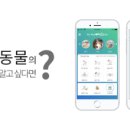 펫마인드