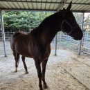 부자목장2 이미지