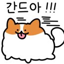 외도빌라스펜션 이미지