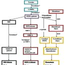 노바약국 이미지