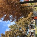 구름재 박병순 시비 이미지