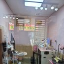 김나현의 묘견생활 이미지